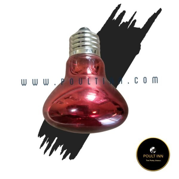 Heat Bulb