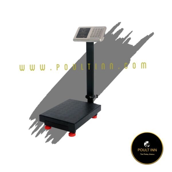 100 kg Weighing Scale