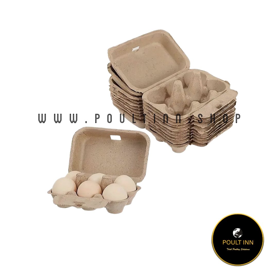 6 cell paper egg crate