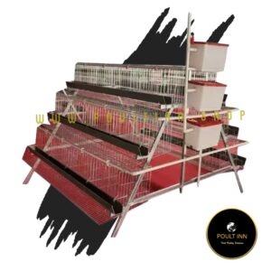120 capacity A type battery cage