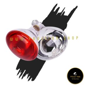200 Watts Brooding bulb